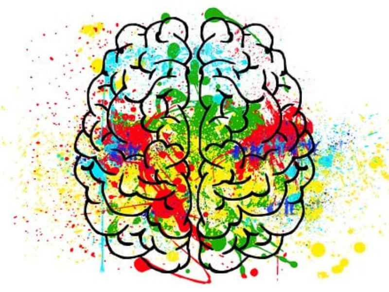  Brain's multicoloured variety representing different Parts in IFS